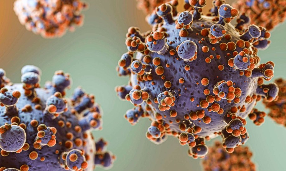 باحثون: تهديد محتمل للصحة العالمية من فيروسين حيوانيين ناشئين