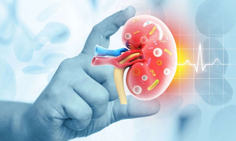 Vanrafia.. دواء جديد لعلاج التهاب الكلى المناعي