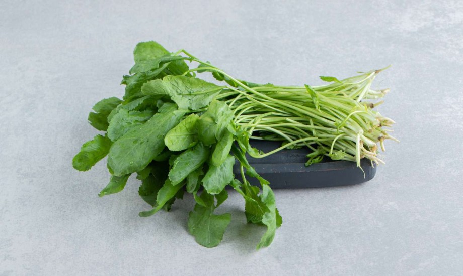 الجرجير كنز الرجال الأخضر