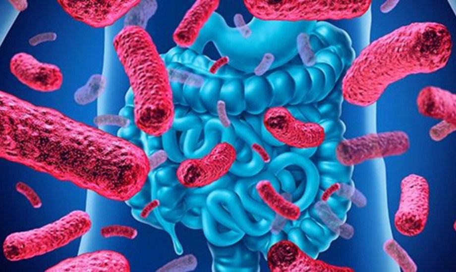 8 علامات تنذر بفرط النمو البكتيري في الأمعاء الدقيقة