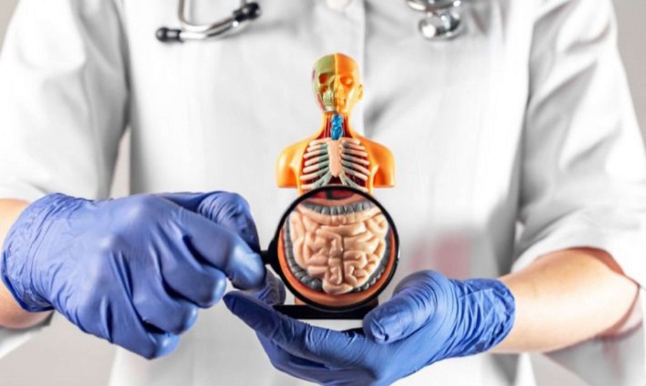 علاج فرط النمو البكتيري في الأمعاء الدقيقة