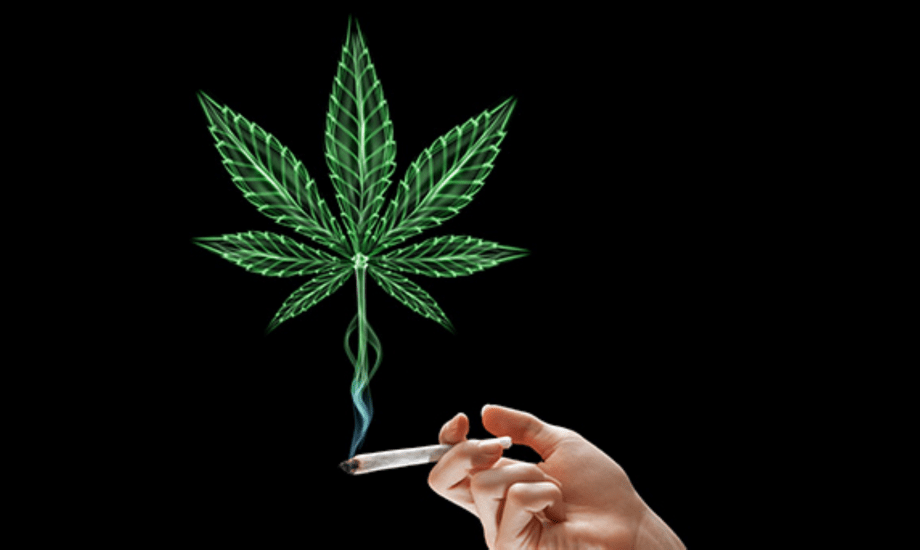 دراسة عن دور الحشيش في علاج العقم عند الرجال