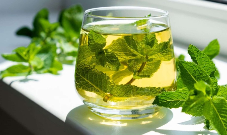 فوائد شرب النعناع في الصيف