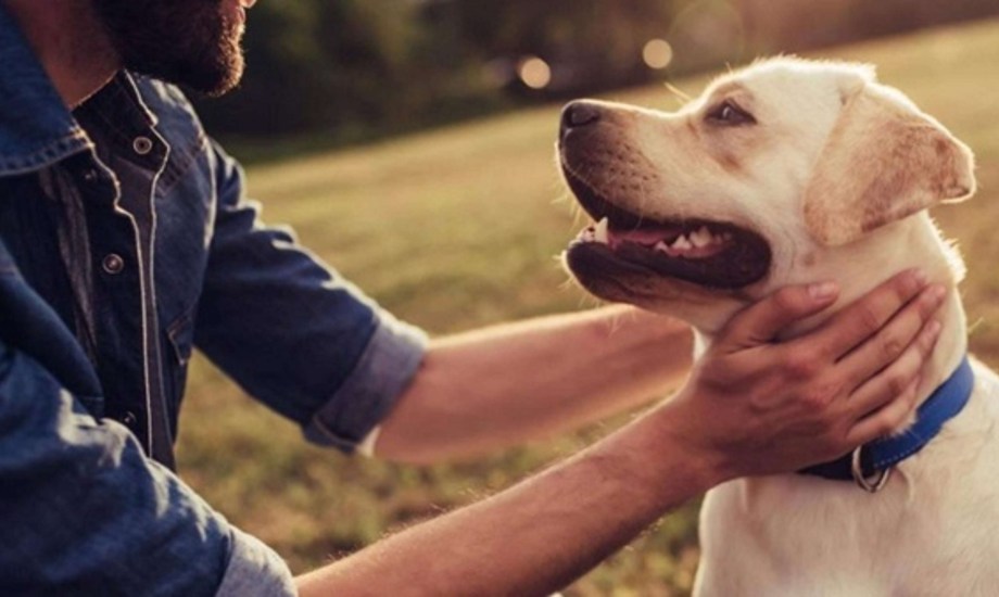 الرجال يرتبطون عاطفياً بالكلاب أكثر من البشر