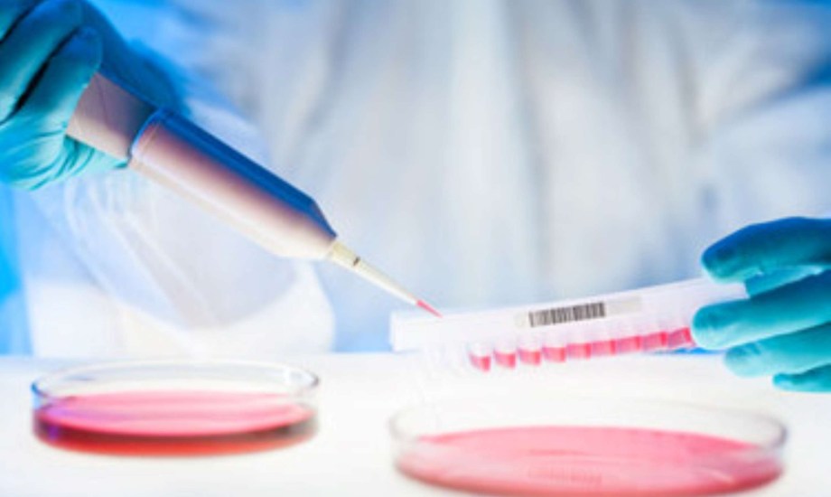 دواء جديد ينقذ مرضى جلد الفراشة من الجروح المزمنة