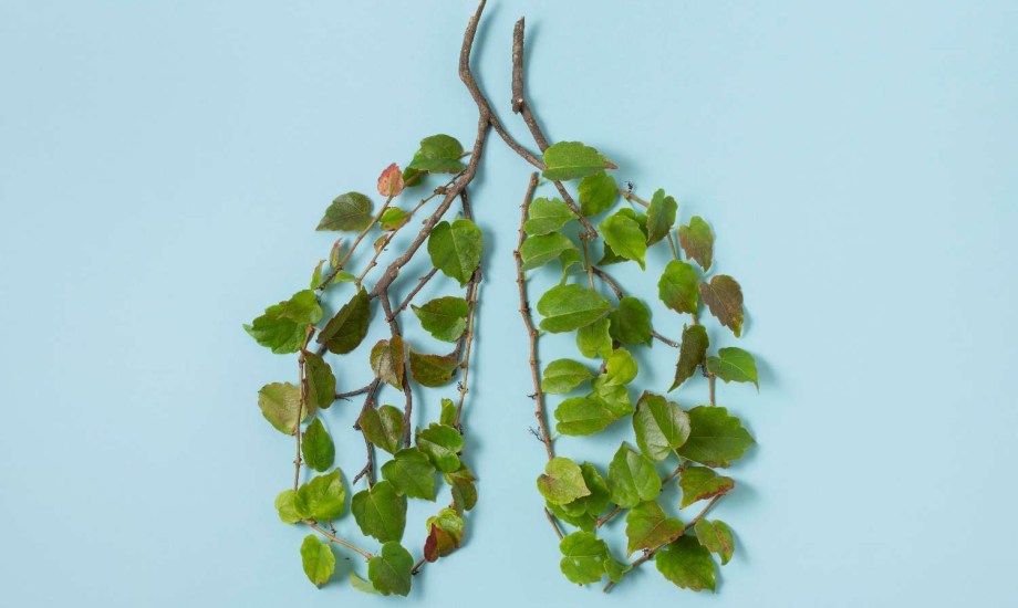 3 نصائح عملية لحماية الكبد والكلى من الأمراض الخطيرة