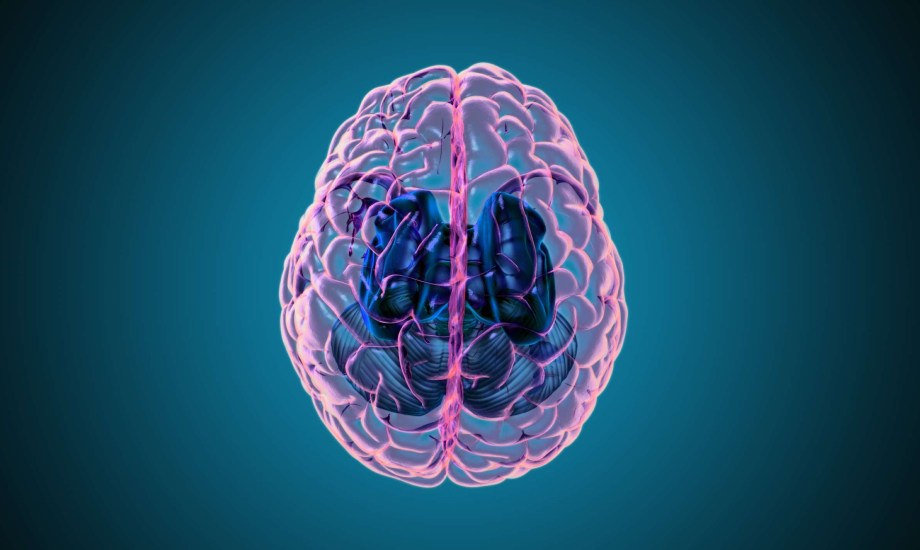 علاقة الدوالي بالإصابة بالخرف