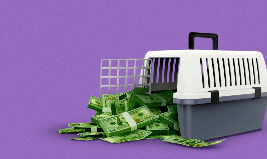 حيوانك الأليف قد يمنحك سعادة تعادل الزواج أو راتبا ضخما