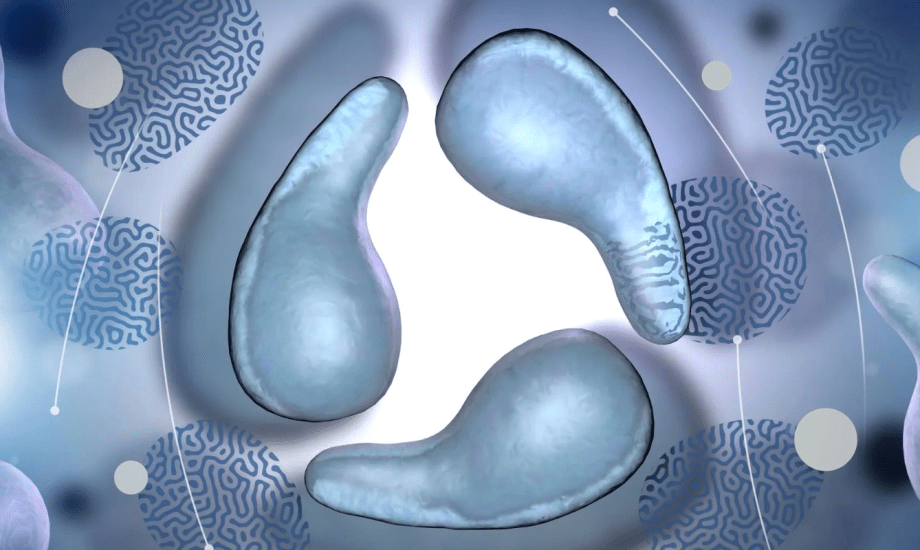 الميكوبلازما التناسلية عند الرجال.. أعراضها وطرق الوقاية منها