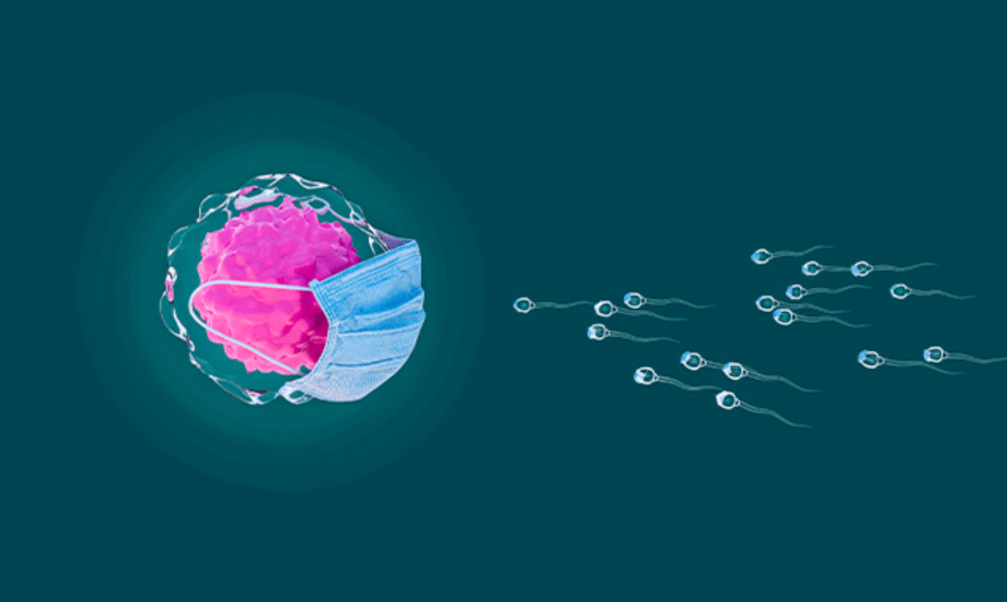 تأثير فيروس كورونا على جودة الحيوانات المنوية