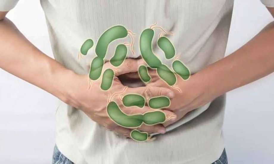 أسباب وأعراض الإصابة بعدوى الشيجيلا