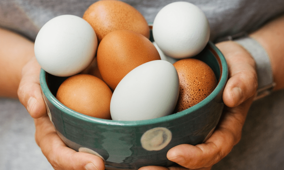 البيض البني أم الأبيض؟