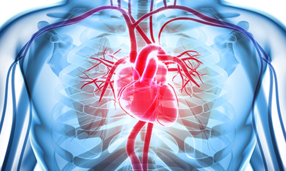 الشريان التاجي عند الرجال