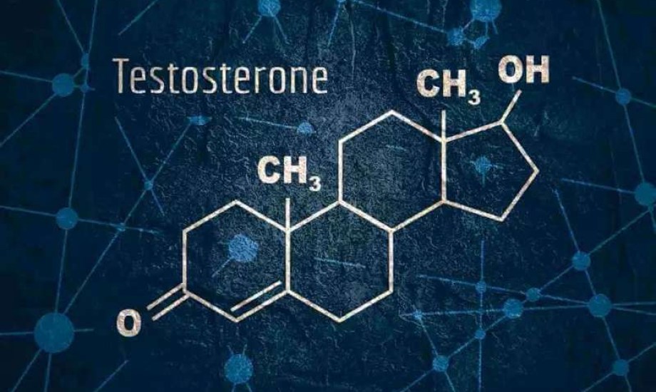 المعدل الطبيعي لهرمون الذكورة عند الرجال