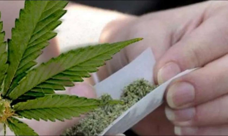 الحشيش يهدد خصوبة الرجال