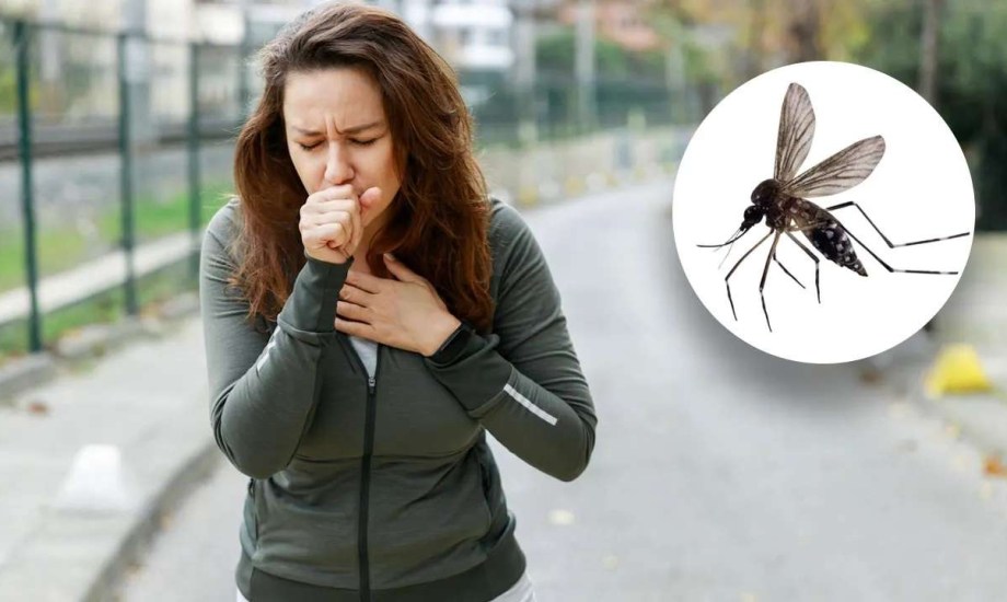 ماذا يحدث للجسم عند بلع حشرة بالخطأ؟