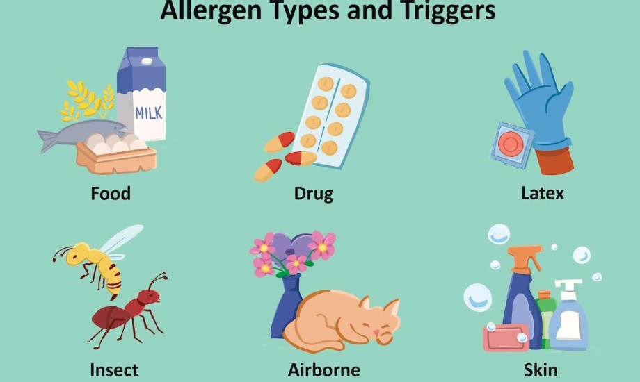 ردود الفعل التحسسية من الأدوية واللدغات والطعام