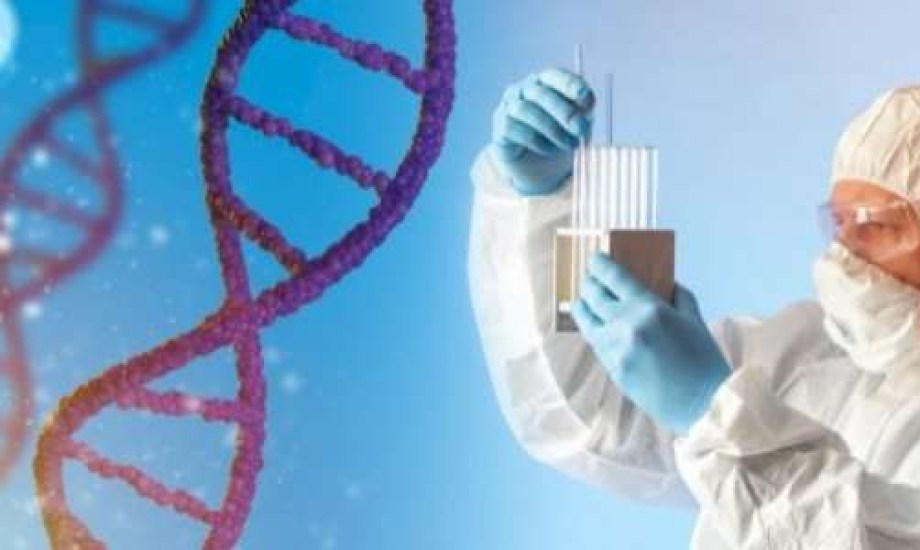 اكتشاف أول عامل وراثي مسبب لضعف الانتصاب