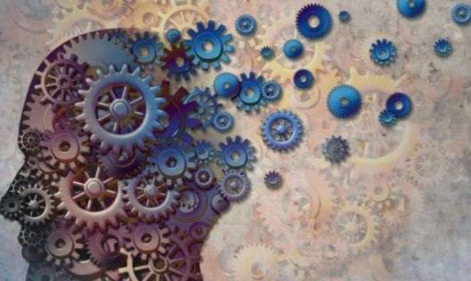 دراسة تكشف السر وراء الذاكرة القوية بعد الخمسين