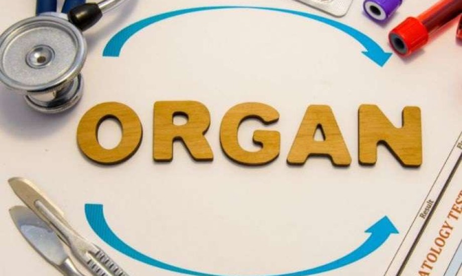 &quot;Riliprubart&quot;.. دواء جديد يحارب رفض الجسم للأعضاء المزروعة