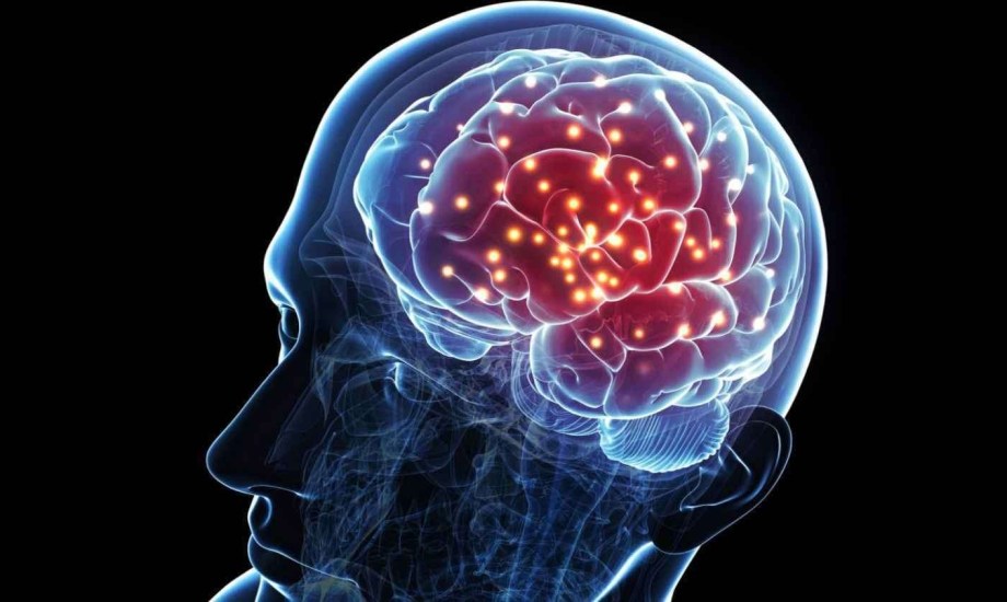 إصابات الدماغ قد تكون وراء السلوك الإجرامي