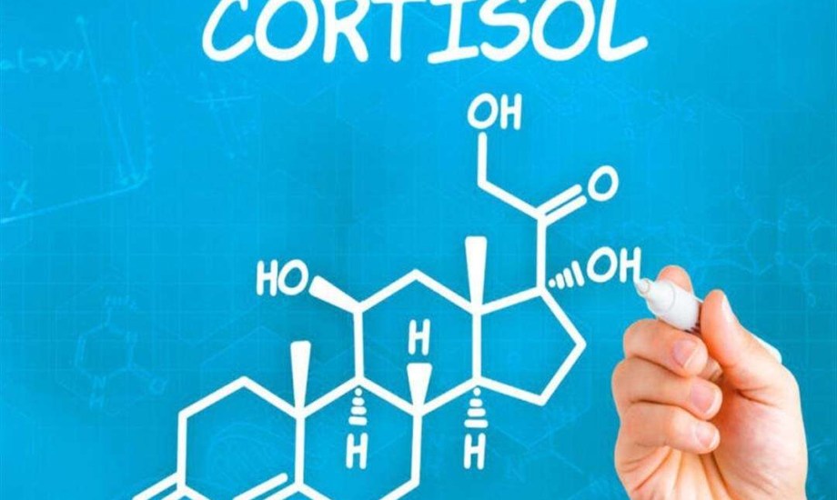 4 مكملات غذائية تقلل الكورتيزول