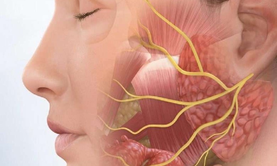 هل التعرض للهواء البارد يسبب شلل الوجه؟