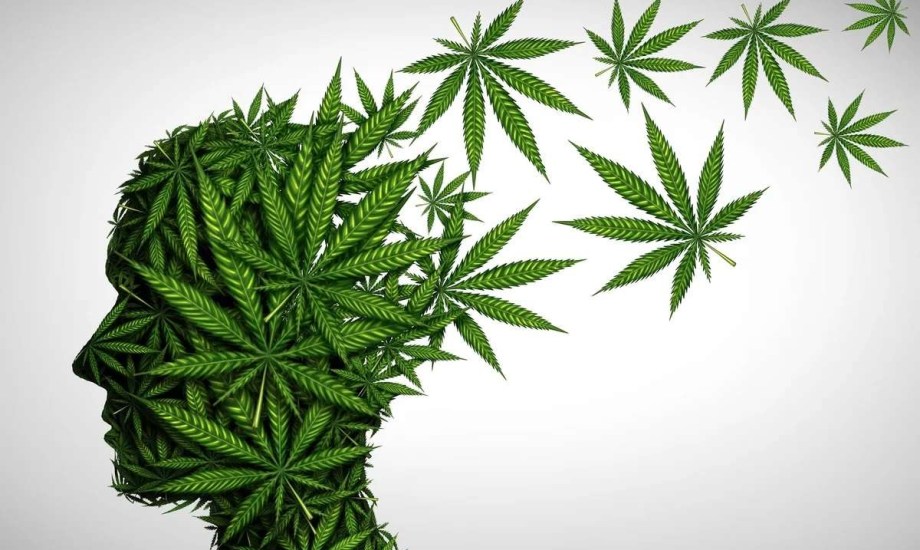 هل الماريجوانا تعزز الإبداع؟