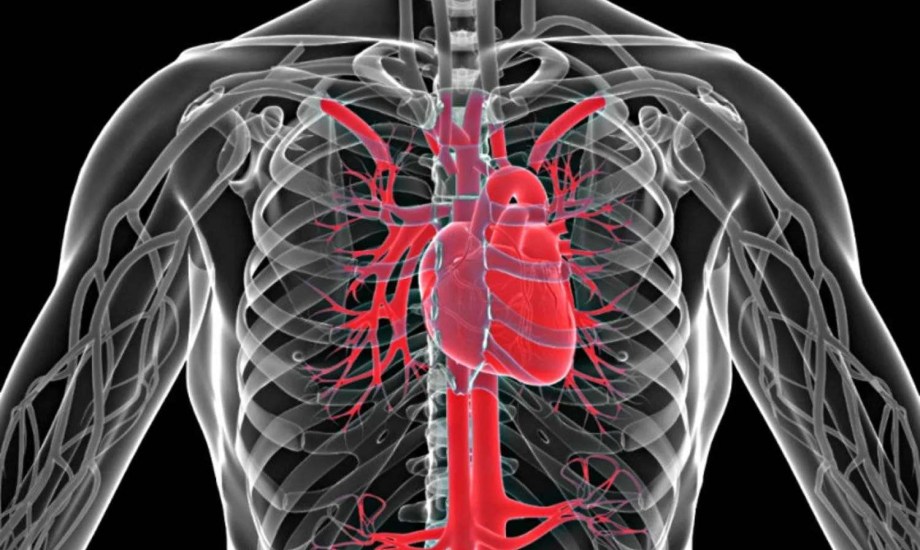 زيادة المعادن في البول ترفع خطر الإصابة بفشل القلب