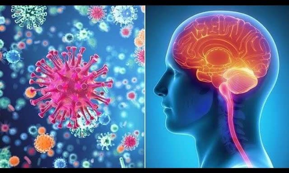 الإنتان والتهاب السحايا عند المواليد يزيدان خطر الإصابة بالصرع