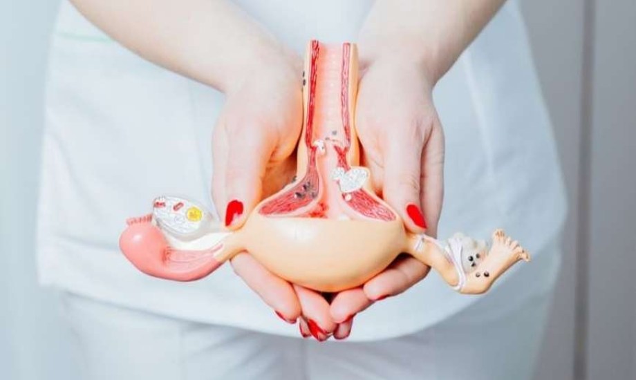 ما الفرق بين الرحم المقلوب والمتضخم؟ 