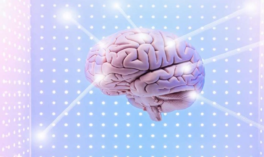 الجري يساعد الدماغ على التعامل مع التوتر المزمن