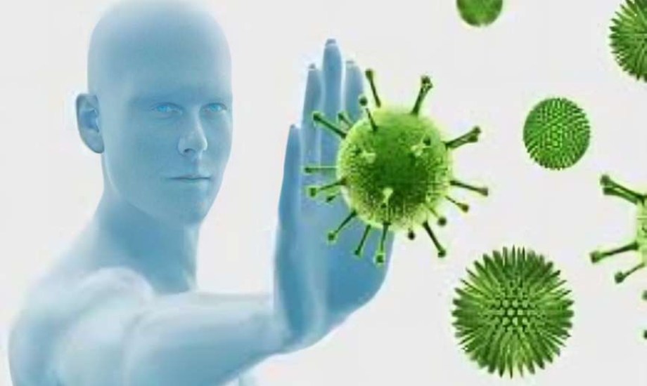 5 أطعمة تدمر جهازك الليمفاوي.. كيف تحمي نفسك؟