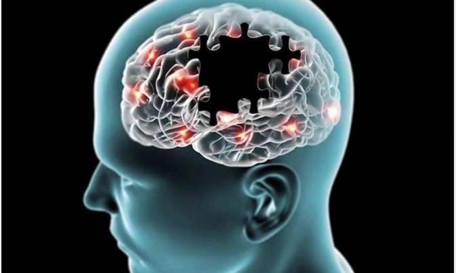 بين الفقر والزهايمر.. صلة مثيرة تربط البيئة المحرومة بتلف الأعصاب والالتهاب الدماغي