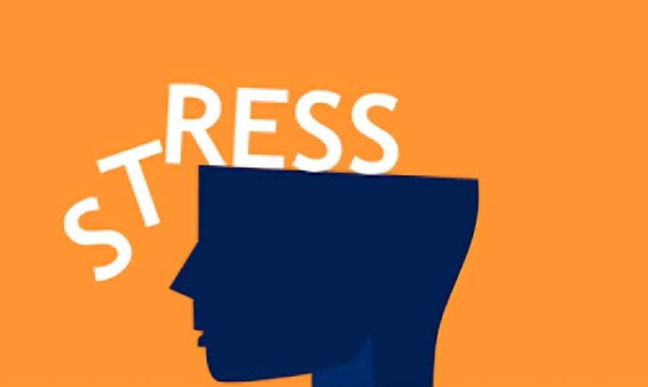 القلق ليس عدوك.. كيف يمكنك تحويل التوتر إلى وقود للإنجاز؟