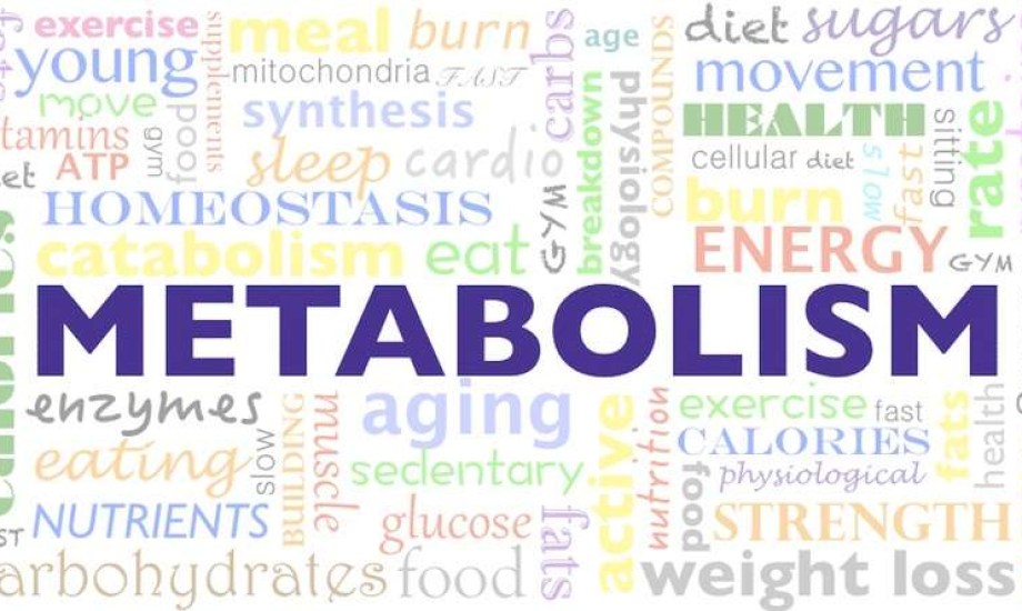 5 علامات تدل على بطء الأيض