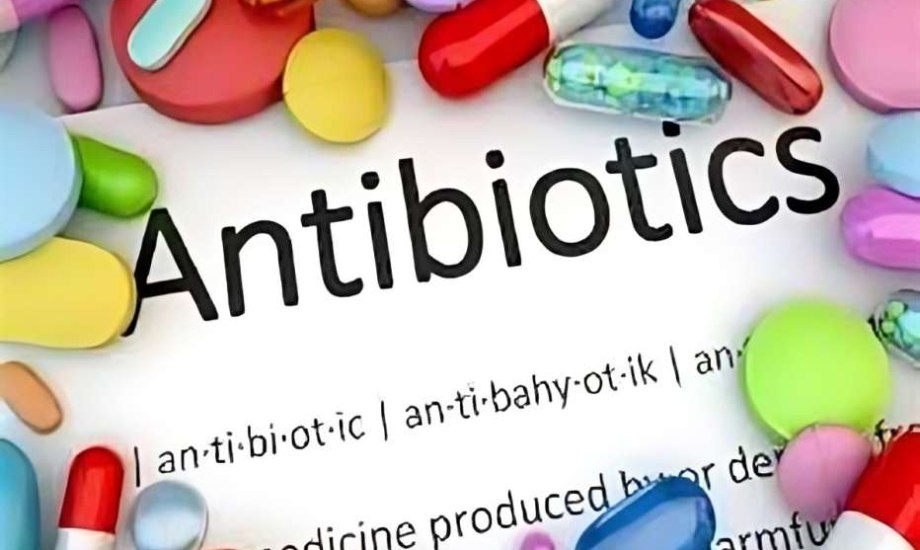 المضادات الحيوية تفقد مفعولها بسبب روث الحيوانات