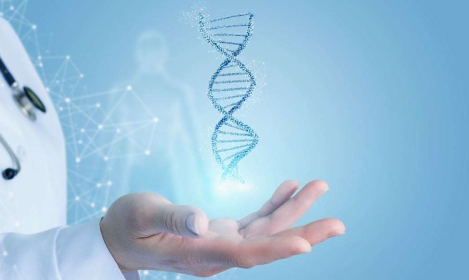 شعورك بزيادة الوزن قد يكون مكتوبا في حمضك النووي