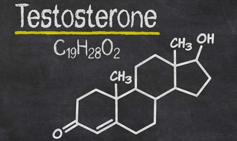 كيف يؤثر التستوستيرون على مستويات الكوليسترول لدى الرجال؟