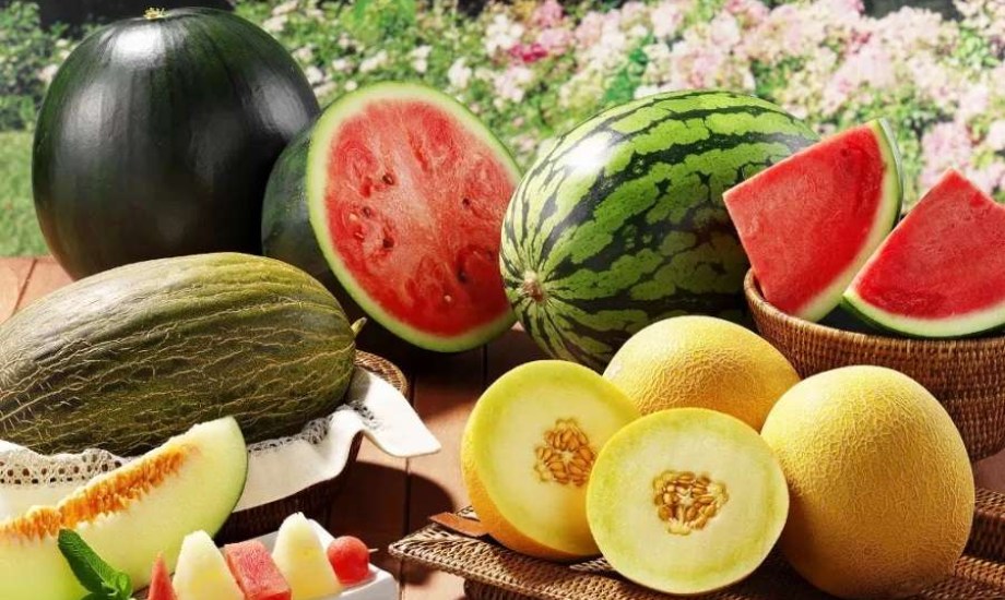 البطيخ والشمام لصحة البشرة