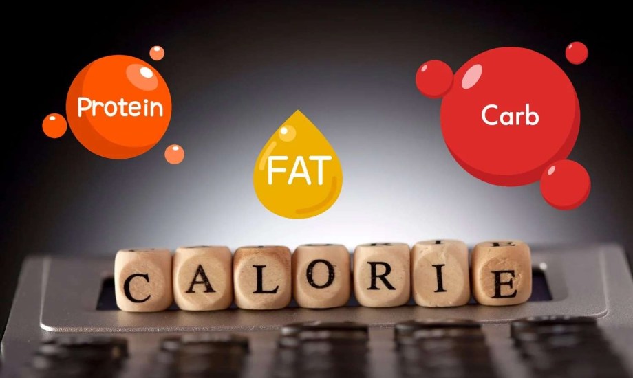 معدل الإنفاق اليومي للطاقة.. المفتاح العلمي لفهم حرق السعرات الحرارية