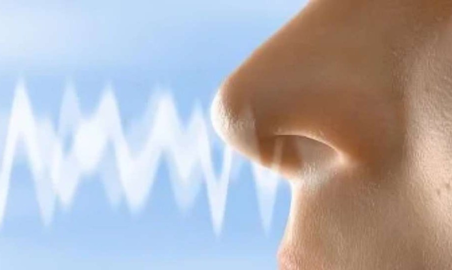 ضعف حاسة الشم قد يكون السبب الخفي لزيادة الوزن