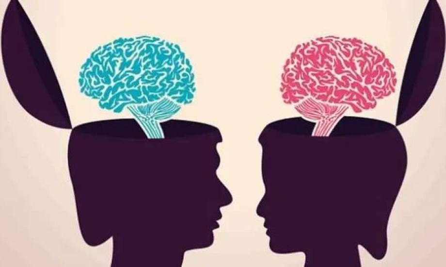 دماغ الرجل أكبر ودماغ المرأة أكثر تعقيدا