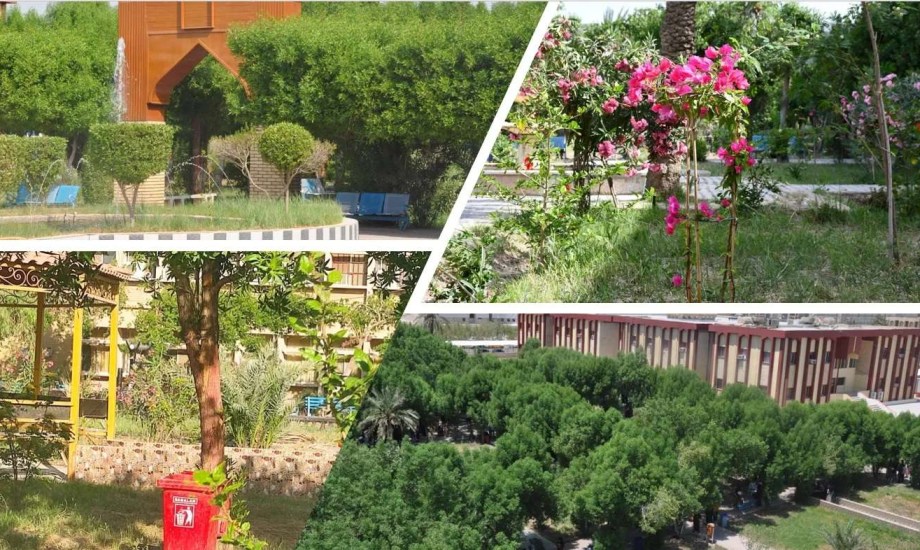 المساحات الخضراء.. الدرع الواقي للصحة النفسية في زمن الجائحة