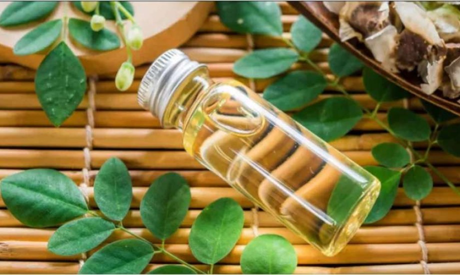 5 فوائد مذهلة لزيت المورينجا على شعرك وفروة رأسك