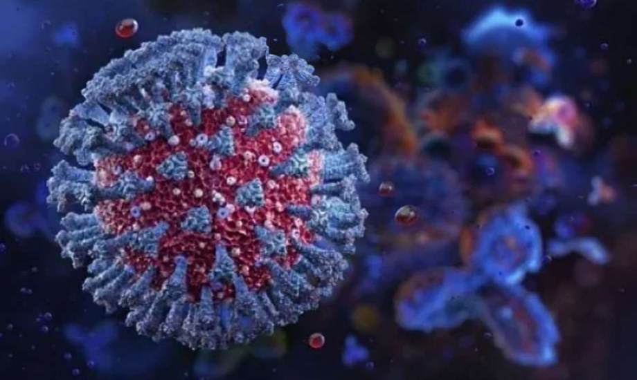 كيف تحمي نفسك من متحور نيمبوس؟