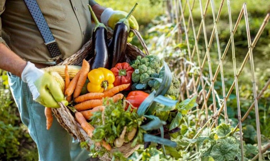 أكثر الفواكه والخضراوات تلوثا بالمبيدات