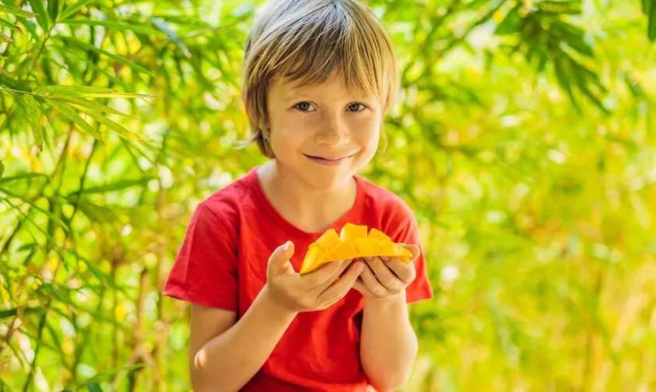 المانجو كنز غذائي لطفلك يمده بـ 6 فوائد صحية