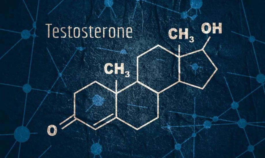 دور التستوستيرون في تحسين التواصل البصري