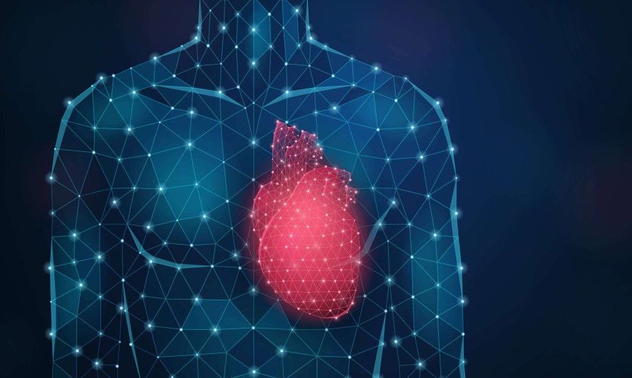 ابتكار رقعة خلايا جذعية لإصلاح تلف القلب